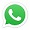 WhatsApp Icon
